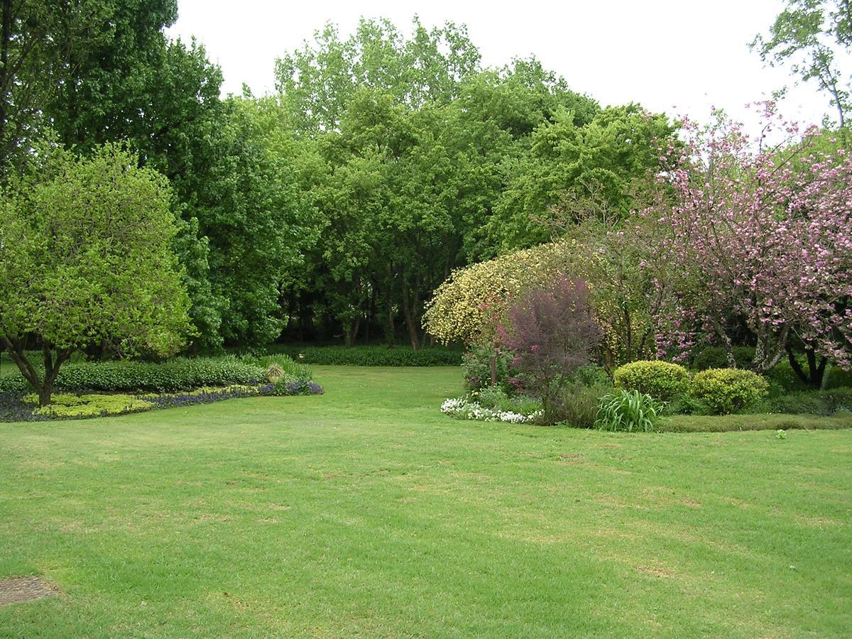 Cedar Garden Bed and Breakfast Underberg Exteriör bild